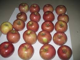 Image result for fuji apple