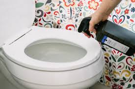 toilet bowls cleaning ile ilgili görsel sonucu