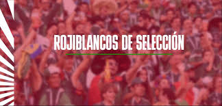 Chivas - News update