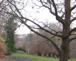 Image of Men's Shed at Cobtree Manor Park