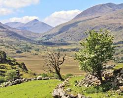 Imagem de Ring of Kerry