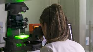 Resultados UdeA 2026: Consulta Admitidos y Proceso de Matrícula