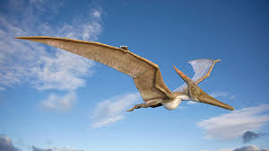 Let's learn about pterosaurs
