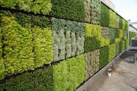 Image result for living wall