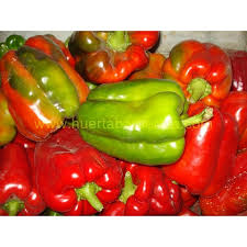 Resultado de imagen para plantas de pimientos