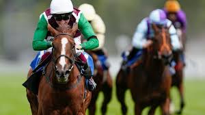 Racing Post - News update