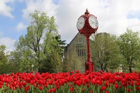 We The Hoosiers joins science advocacy group’s call to remove IU Trustee Sage Steele