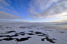 Image result for oil alaska