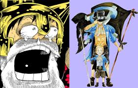 Image result for one piece
