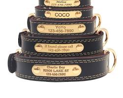 leather dog collar with a name tagの画像