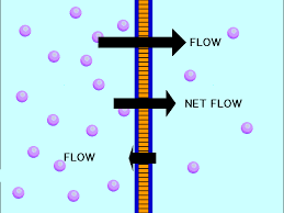 Science e-portfolio