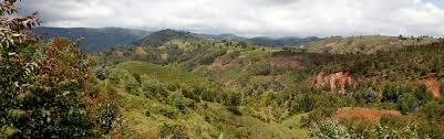 Image result for burundi