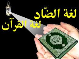 الأخفش بين البصريين والكوفيين