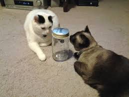 Image result for Deborah Lynn Ferrier