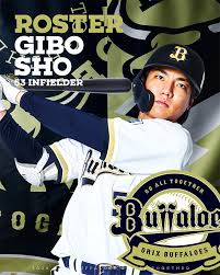 Npb 公示 : ce qu'il faut savoir