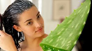 Image result for aloe vera for hair