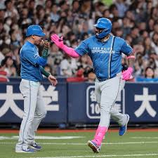 川口葵
