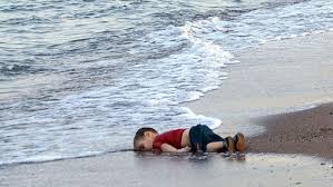 Image result for dead child beach