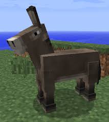 imagesqtbnANdGcSXmsVpLIpiGZqY-j