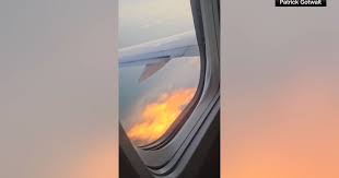 Bird Strike