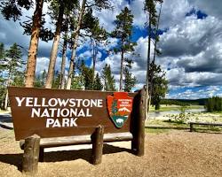 Image of hydrothermal explosion damage in Yellowstone