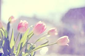 ���� ���� ������ �� ���� ������