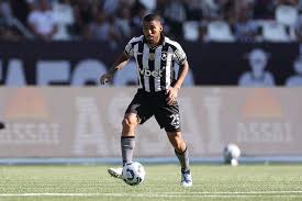 Com Allan de volta, Botafogo divulga relacionados para decisão na Libertadores