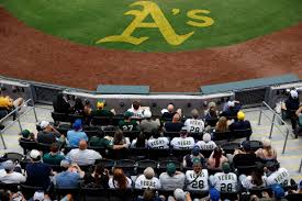 Brewers Athletics Baseball
