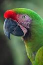 2 parrots 1 almond <?=substr(md5('https://encrypted-tbn3.gstatic.com/images?q=tbn:ANd9GcSY2RKAtJG7J84Mt8J_jMsJYNqSWm55QHeV_dBcfr2_1GqfXhaI5LKuuFyI'), 0, 7); ?>