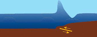 Image result for the process of a tsunami
