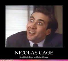 Nicholas Cage Funny on Pinterest | Nicholas Cage Face, Nicholas ... via Relatably.com