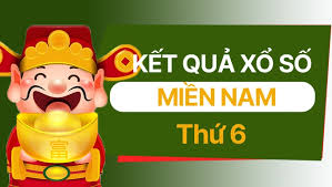 Pháp Luật và Xã hội - News update