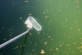 Resultado de imagen de removiendo el agua estancada