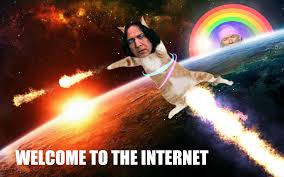 Image result for welcome to the internet meme