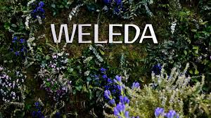 Weleda Considers US Production Amid Tariff Threats and Strong Growth
