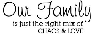 Family is Chaos and Love Wall Quotes™ Decal | WallQuotes.com via Relatably.com