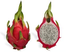 Dragon fruit