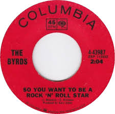 Image result for so you want to be a rock and roll star