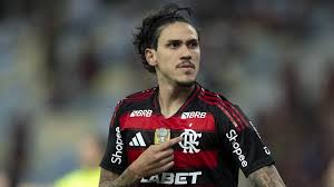 Flamengo Surpreende: Pedro Fora? Entenda a Decisão! - Imagen principal del artículo