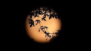 June 2026 full moon is ripe for the viewing. When to see the peak