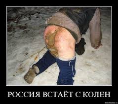 images?q=tbn:ANd9GcSYnSHcNE9EEFi0UUsVf2axeb6SqGuw1F4_V6gf5u3aPTezDX7Rxg