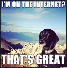Image result for welcome to the internet meme