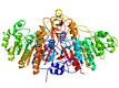 Phosphatases alcalines - Vulgaris Mdical