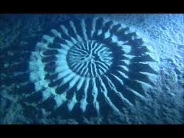 Image result for Undersea Crop Circles