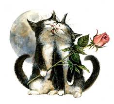 Résultat de recherche d'images pour "saint valentin chat"