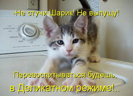 Польша аннулировала вид на жительство российского пропагандиста - Цензор.НЕТ 5512