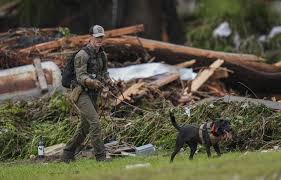 Le Devoir - News update