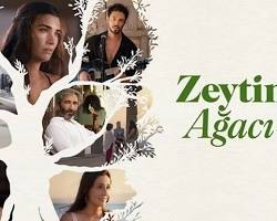 Zeytin Ağacı 2. Sezon Netflix poster resmi