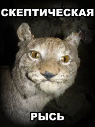 images?q=tbn:ANd9GcSZ7psSM7ILeF6o7zKi9_M2jjYD2loo7tQnntwToC2n7GGo7GpI8Q