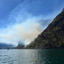 Skogbrann : ce qu'il faut savoir